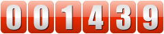 website counter