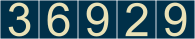 website counter