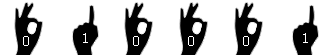 website counter